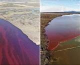 北極圈河流如血般鮮紅，航拍景象駭人，俄羅斯宣佈進入緊急狀態